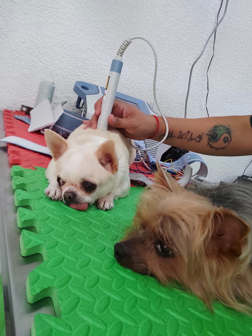 Fisioterapia, Acupuntura y Rehabilitación